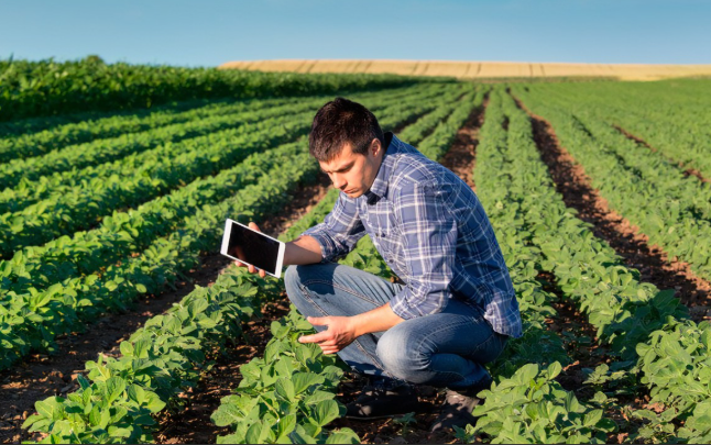 Beneficios tributarios para agroindustria segun SUNAT